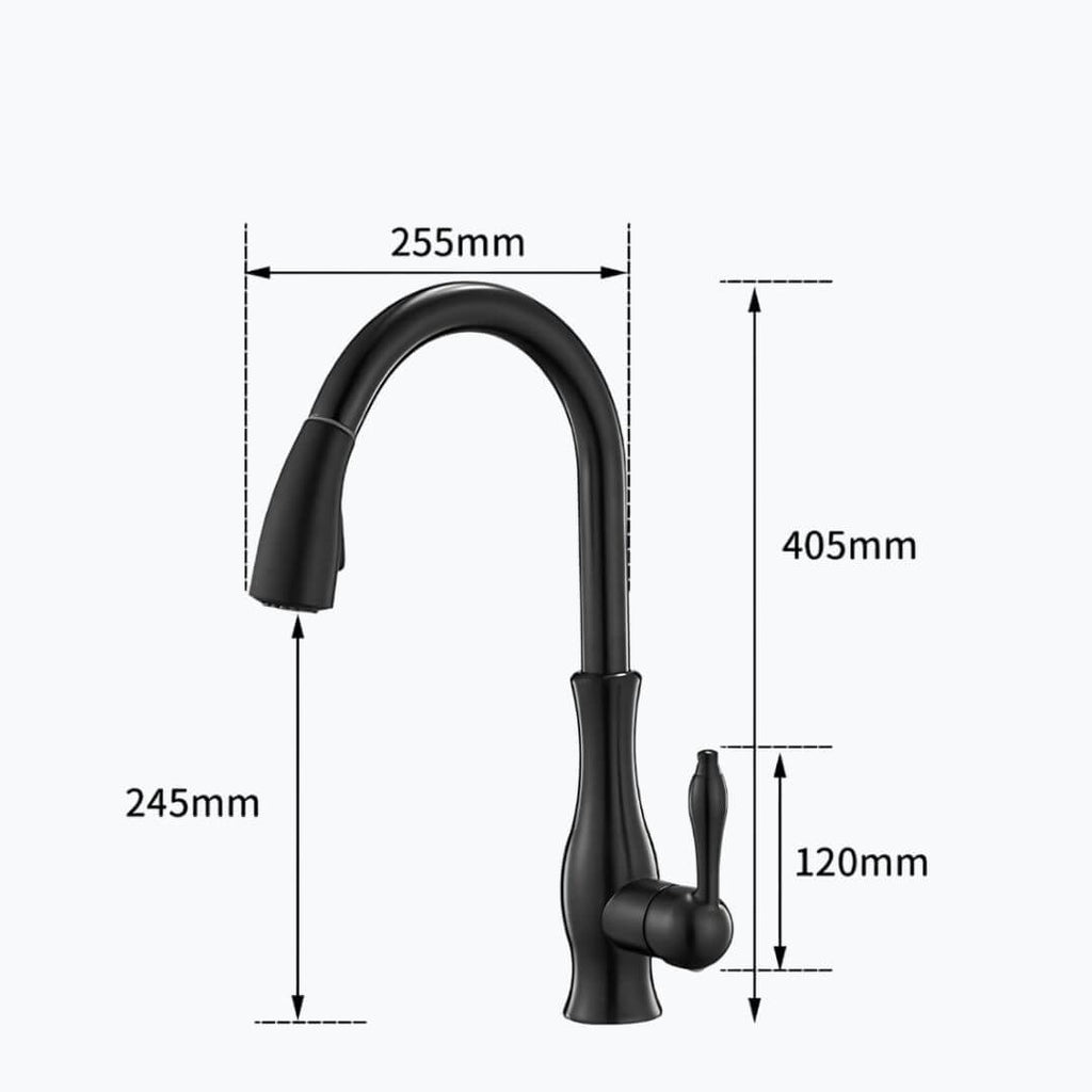 Robinet de cuisine – haut de gamme