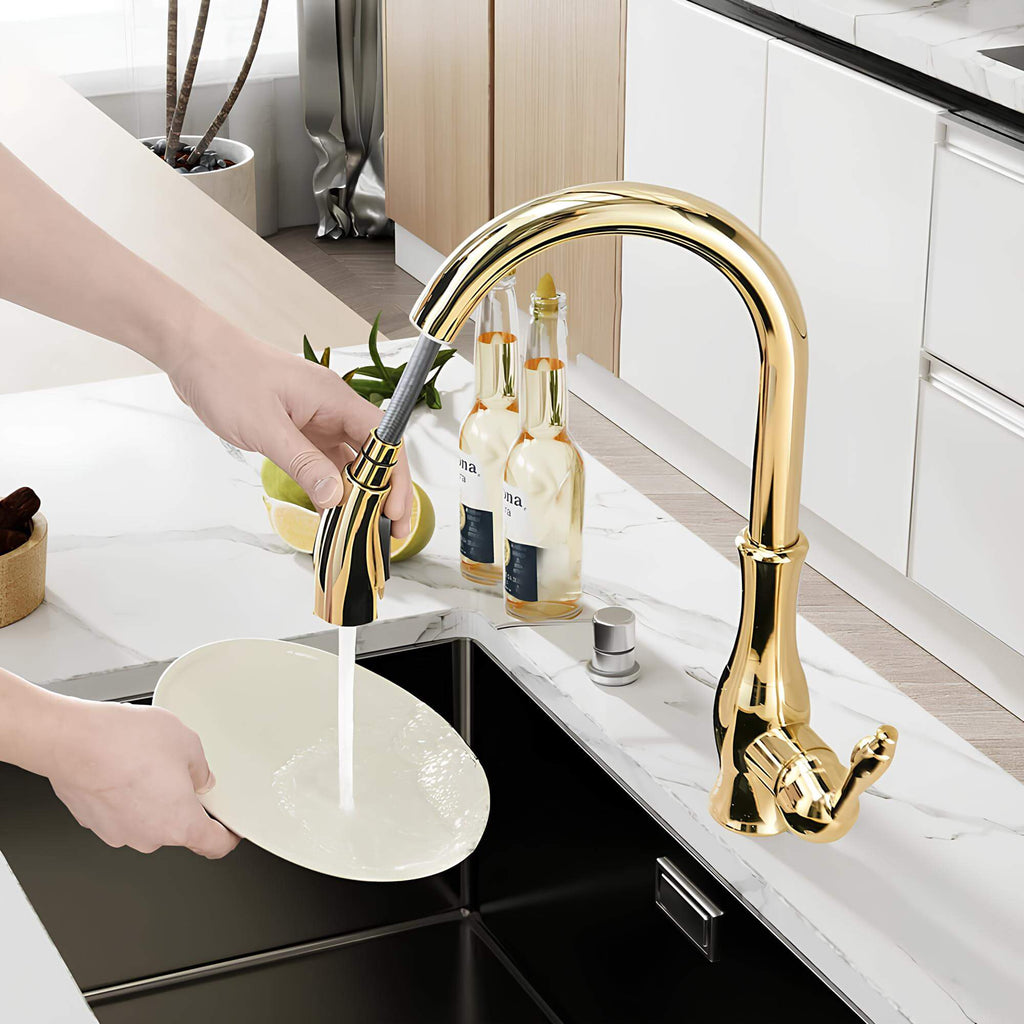 Robinet de cuisine – haut de gamme