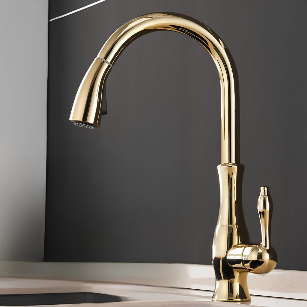 Robinet de cuisine – haut de gamme