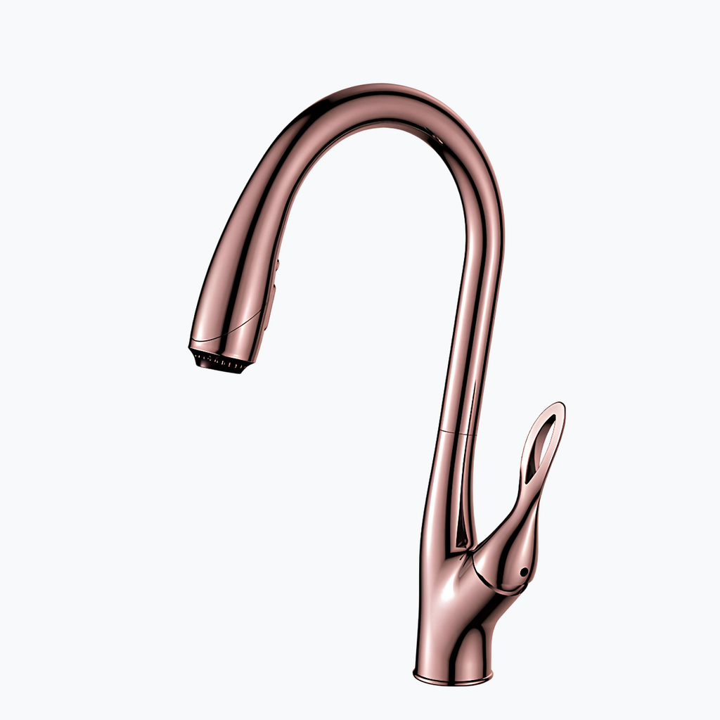 Robinet douchette évier - design luxueux  Le Mitigeur