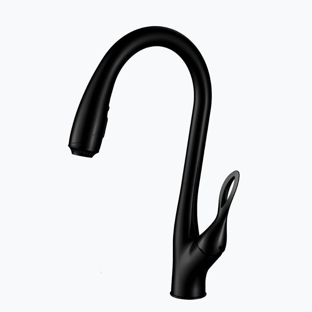 Robinet douchette évier - design luxueux  Le Mitigeur