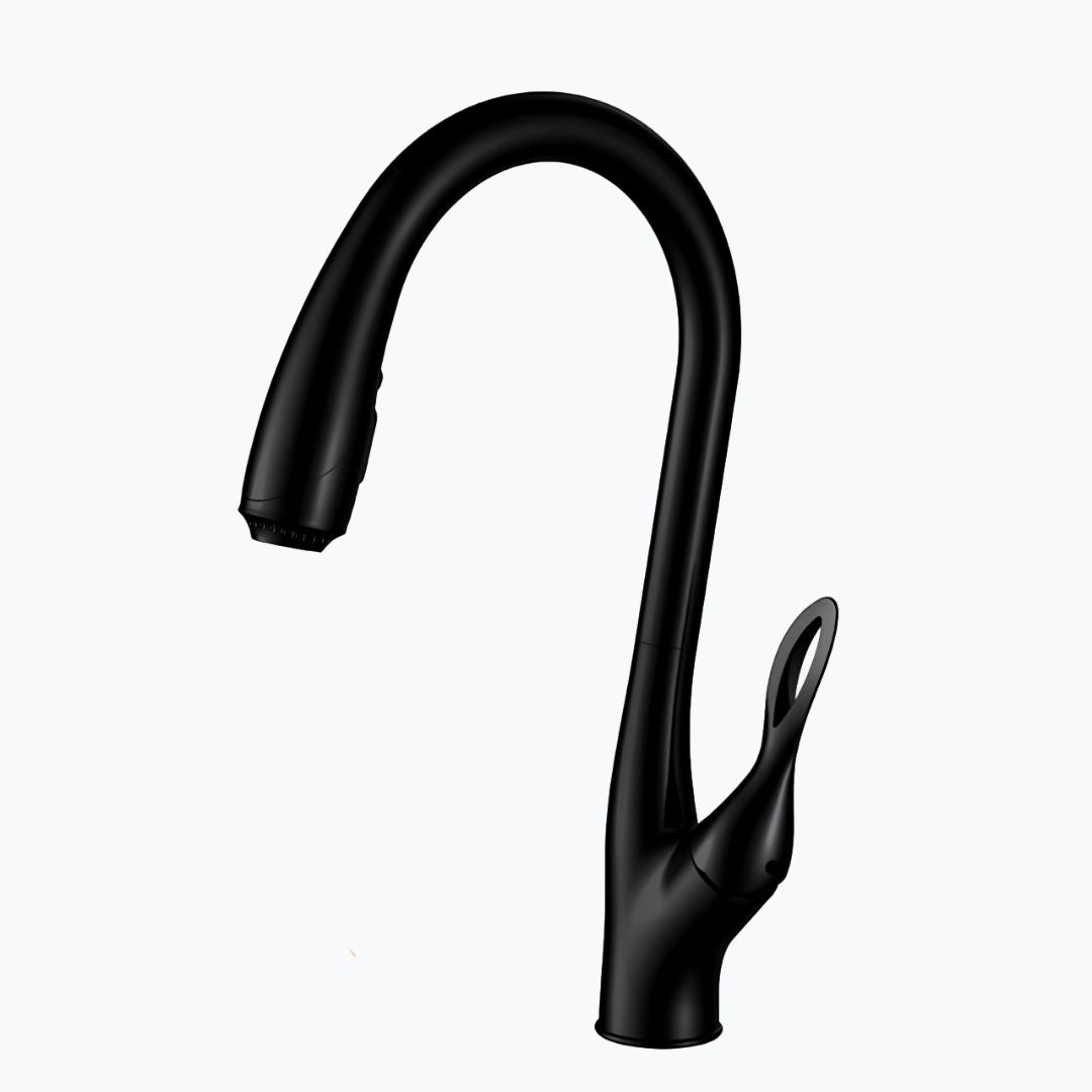 Robinet douchette évier - design luxueux  Le Mitigeur