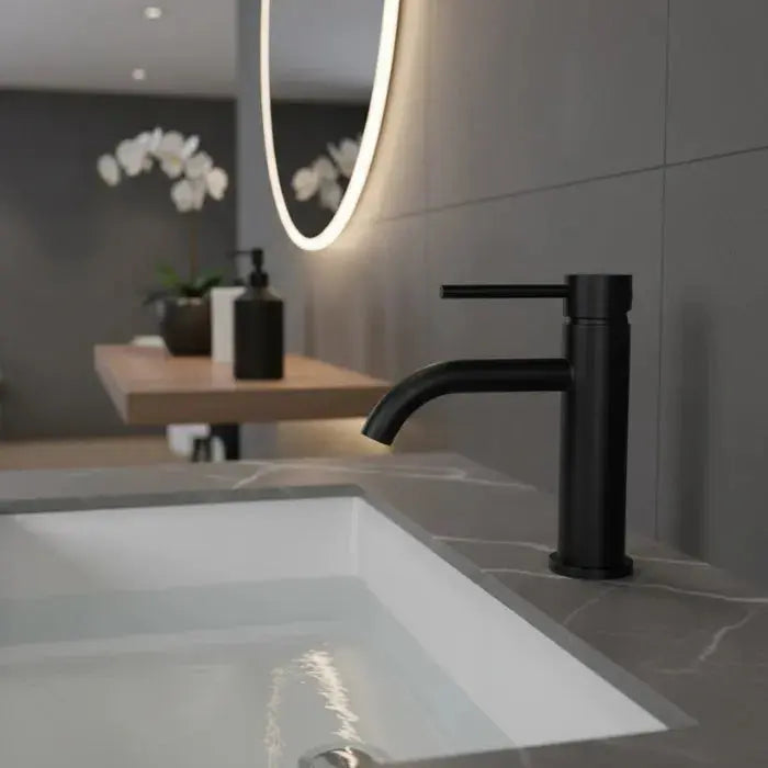 Robinet lavabo en inox brossé noir mat Ma boutique